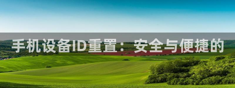 顺盈2娱乐注册问一问：手机设备ID重置：安全与便捷的