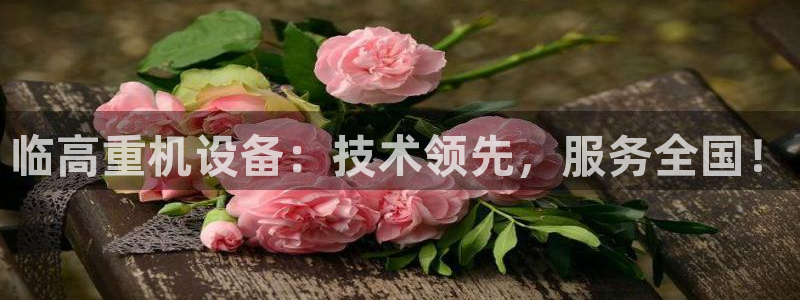 顺盈娱乐下载最新版：临高重机设备：技术领先，服务全国！