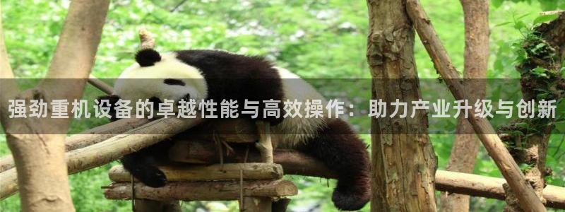 顺盈娱乐过拔7276O：强劲重机设备的卓越性能与高效操作：助