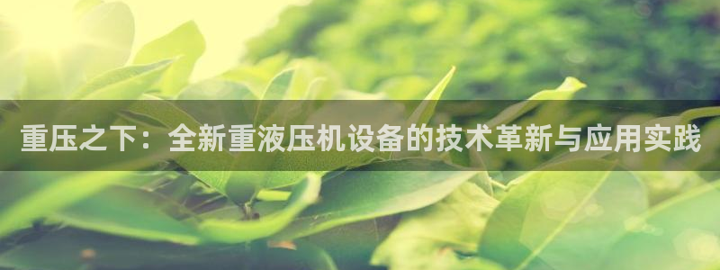 清远顺盈娱乐公司实习：重压之下：全新重液压机设备的技术革新与