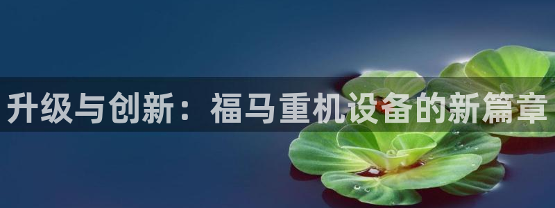 清远顺盈娱乐公司怎么样：升级与创新：福马重机设备的新篇章