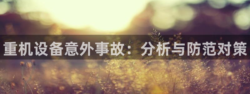 顺盈娱乐主管怎么样：重机设备意外事故：分析与防范对策