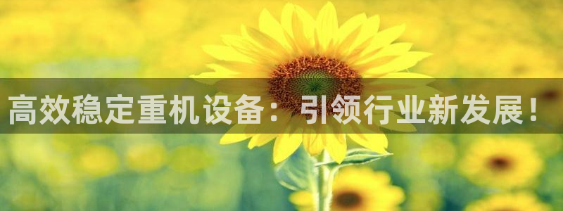 顺盈娱乐棋牌：高效稳定重机设备：引领行业新发展！