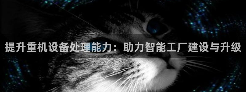 顺盈娱乐件究7276O：提升重机设备处理能力：助力智能工厂建