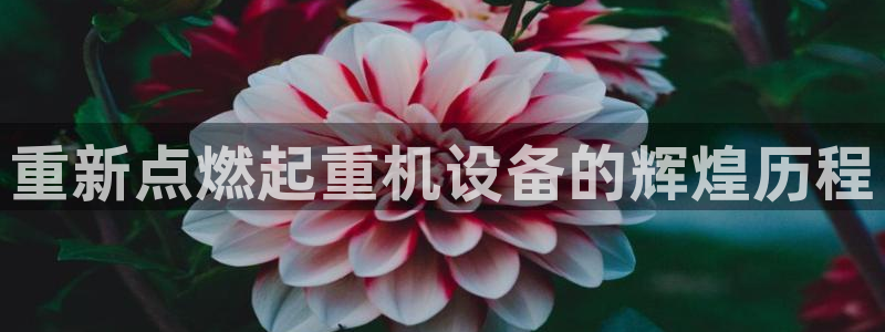 顺盈娱乐开户注册：重新点燃起重机设备的辉煌历程