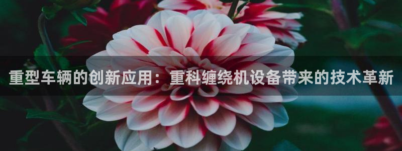 盈顺休闲娱乐室团购价格：重型车辆的创新应用：重科缠绕机设备带