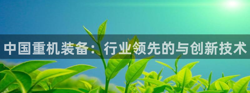 顺盈娱乐下载安装官方网：中国重机装备：行业领先的与创新技术