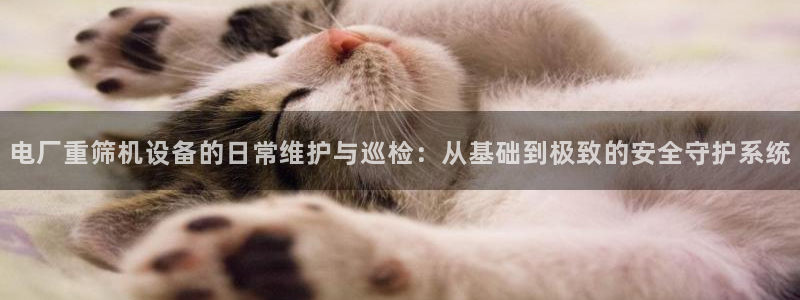 顺盈娱乐平台官网电话