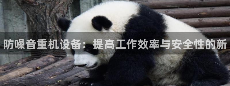 顺盈2娱乐注册平台