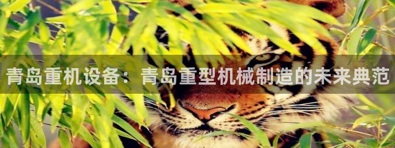 顺盈娱乐棋牌怎么样