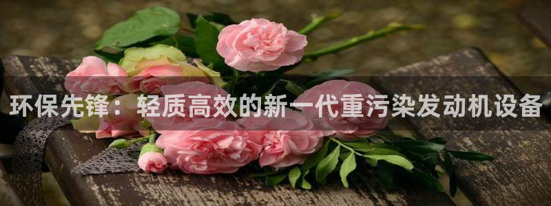 顺盈娱乐下载最新版