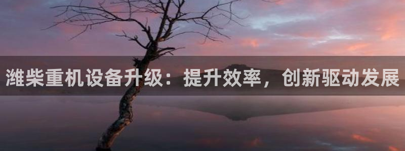 顺盈娱乐平台登录