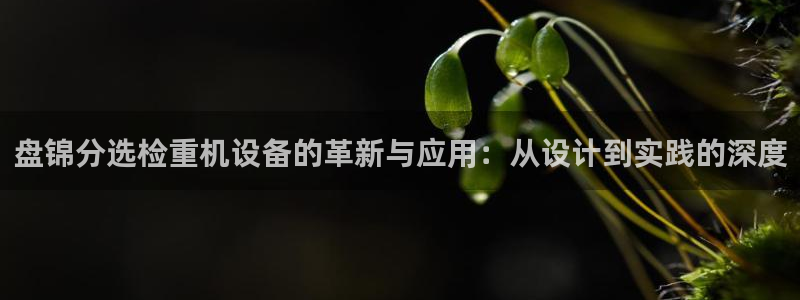 顺盈娱乐下载官网