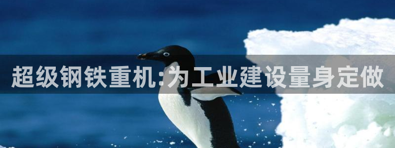 顺盈娱乐平台注册地址