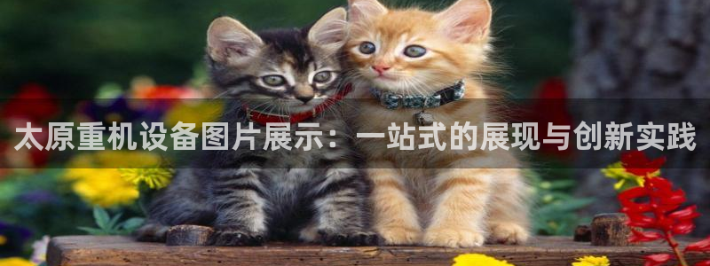 顺盈娱乐是什么意思