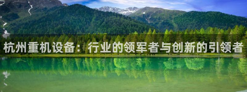 顺盈娱乐在线开户流程图：杭州重机设备：行业的领军者与创新的引