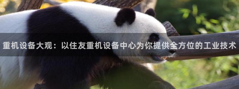 顺盈娱乐注册求判官333OO