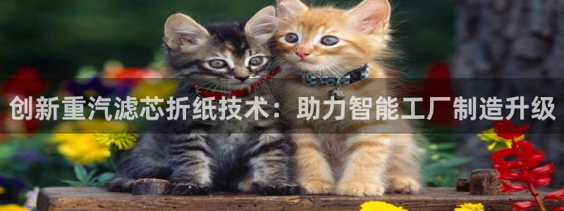 顺盈娱乐是什么