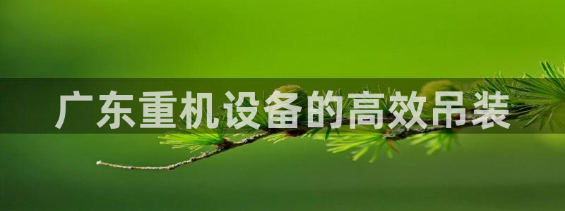 顺盈娱乐下载安装官方网