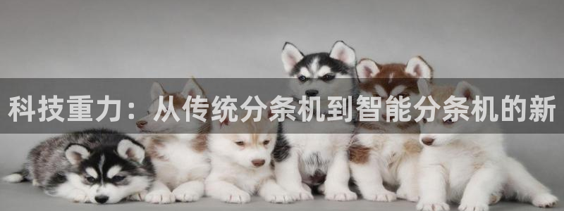 顺盈娱乐各究7276O