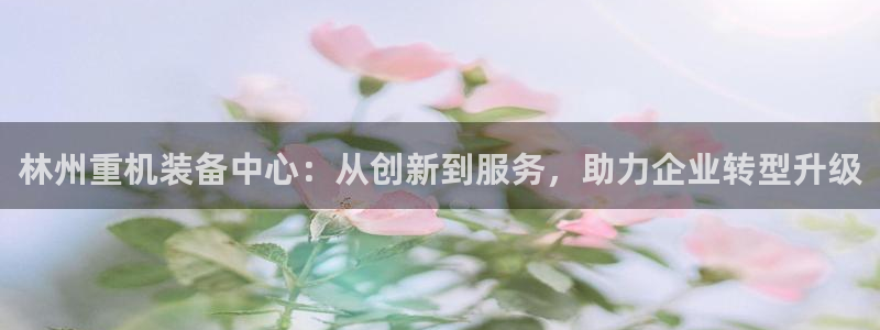 顺盈娱乐代理怎么样