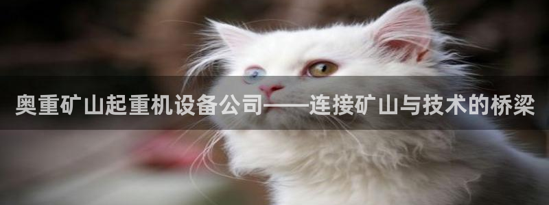 顺盈娱乐最高代理人是谁
