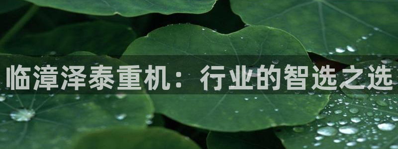 顺盈娱乐注册登录