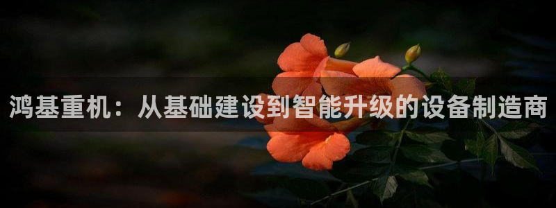 顺盈娱乐公司介绍
