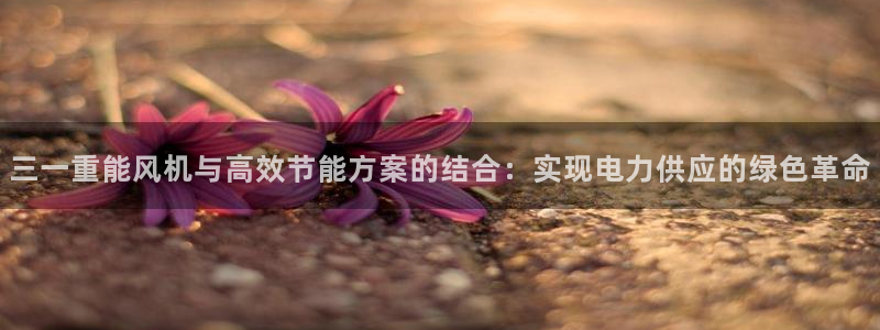 顺盈2娱乐登录