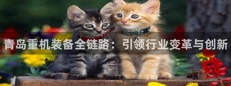 顺盈娱乐注册登录地址